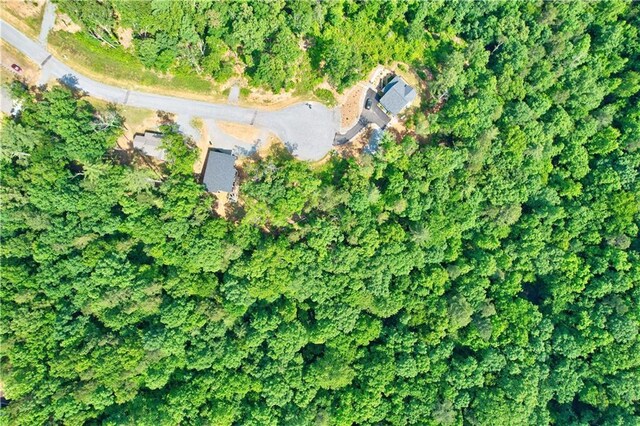 LOT16 Lake Top Ln, Ellijay, GA 30540