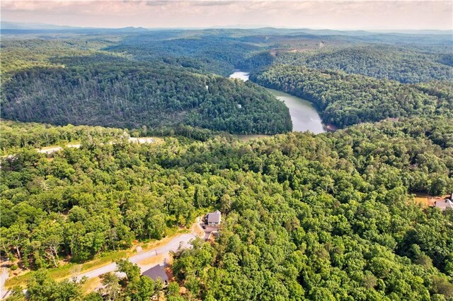 LOT16 Lake Top Ln, Ellijay, GA 30540