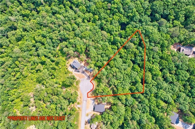 LOT16 Lake Top Ln, Ellijay, GA 30540