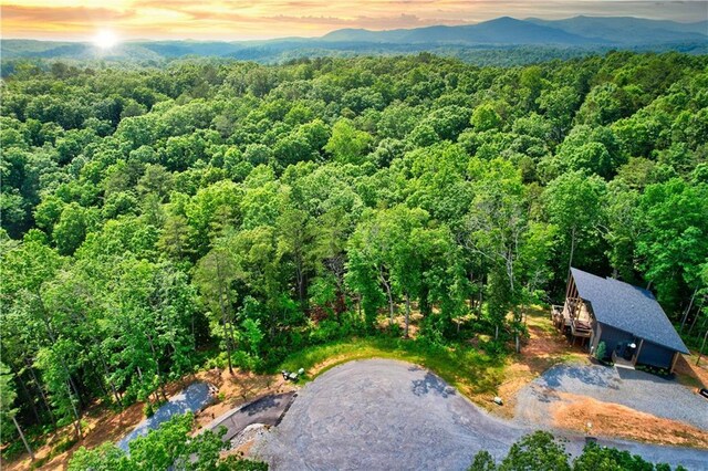 LOT16 Lake Top Ln, Ellijay, GA 30540