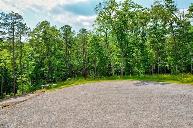 LOT16 Lake Top Ln, Ellijay, GA 30540