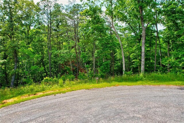 LOT16 Lake Top Ln, Ellijay, GA 30540