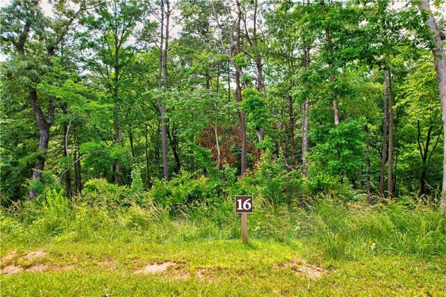 LOT16 Lake Top Ln, Ellijay, GA 30540