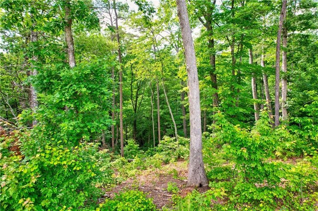 LOT16 Lake Top Ln, Ellijay, GA 30540