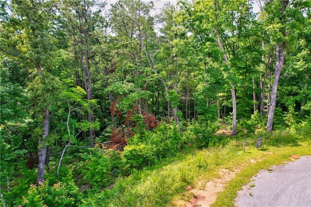 LOT16 Lake Top Ln, Ellijay, GA 30540