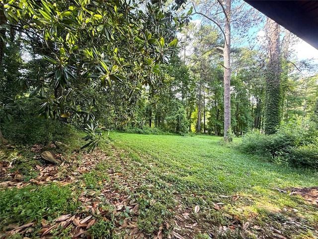1991 Flat Shoals Rd, Riverdale, GA 30296 - view of green lawn