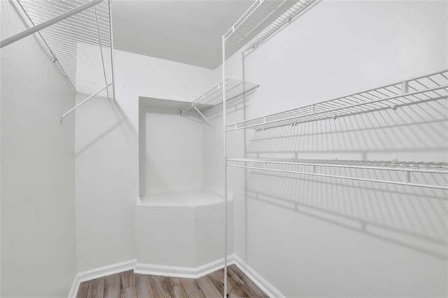 walk in closet featuring hardwood / wood-style floors