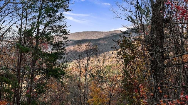 property view of mountains featuring a forest view