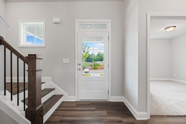 entrance foyer featuring dark wood-type flooring