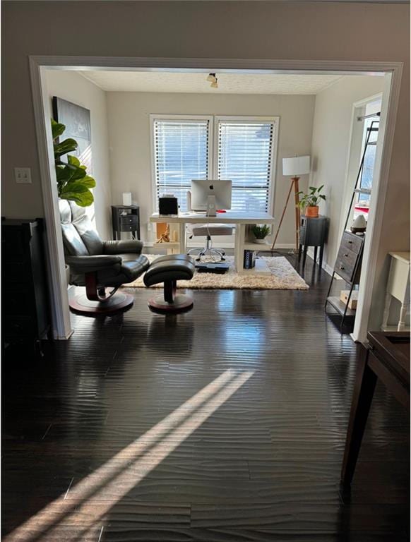 sitting room featuring dark wood-type flooring