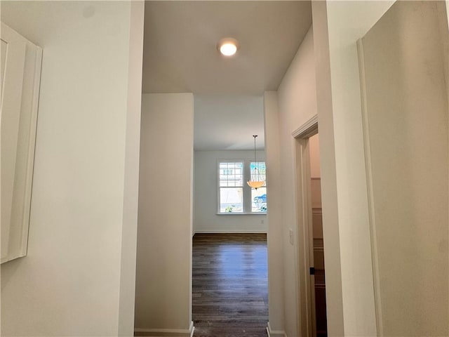 hall with dark hardwood / wood-style flooring