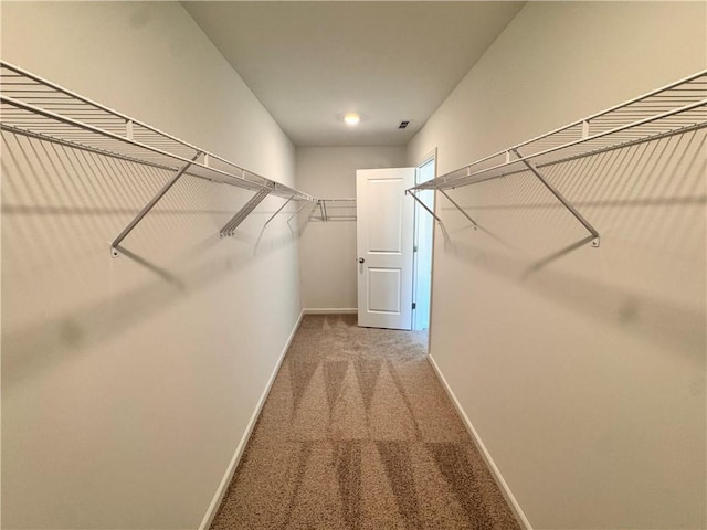 walk in closet with carpet floors