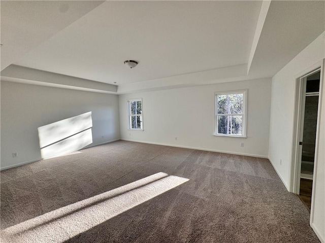 spare room featuring a tray ceiling and carpet flooring