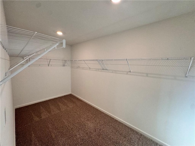 spacious closet with carpet floors