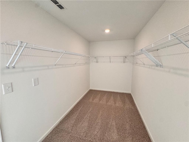 walk in closet featuring carpet