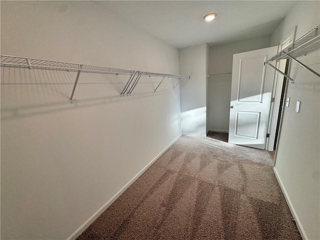 spacious closet with carpet