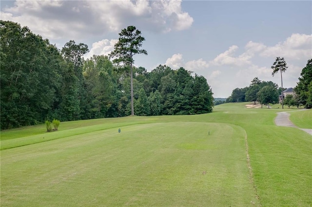 view of property's community with a yard