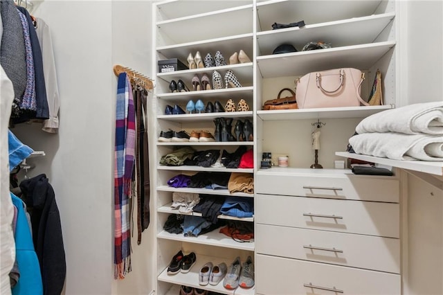 2434 Soft Maple St, Atlanta, GA 30360 - view of spacious closet