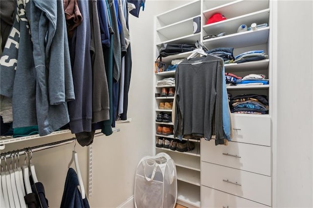 2434 Soft Maple St, Atlanta, GA 30360 - view of spacious closet
