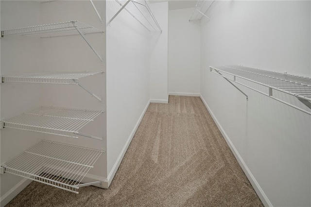 spacious closet with carpet flooring