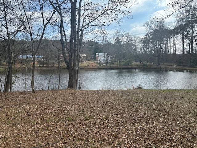 116 Lambert Dr, Stockbridge, GA 30281 - view of water feature