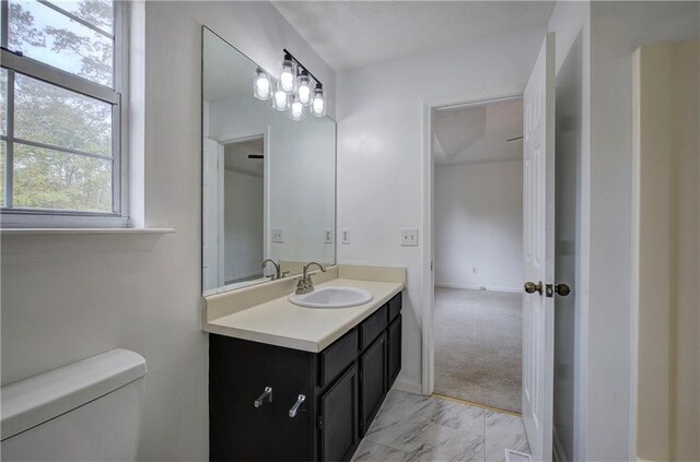 bathroom with toilet and vanity