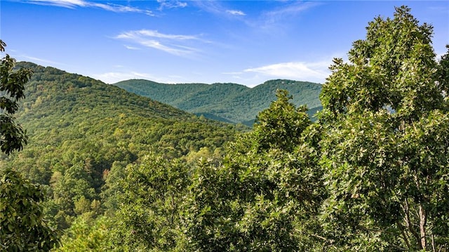 view of mountain feature