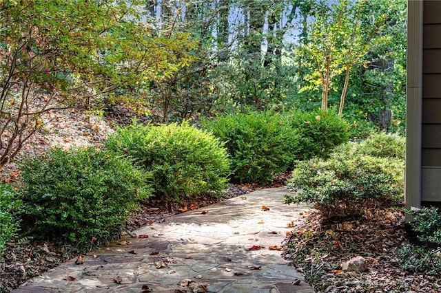 view of yard with a patio area