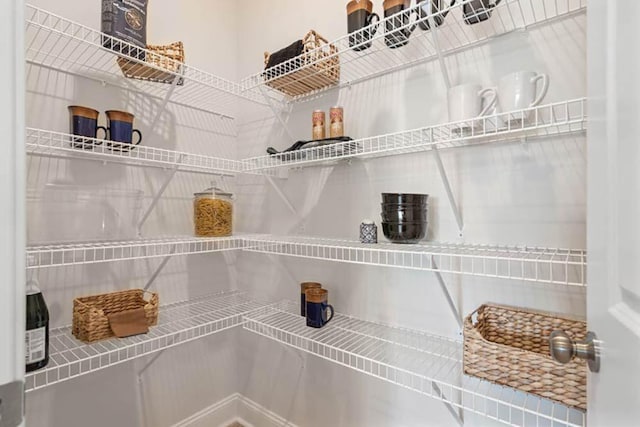 102 Sheryl Way, Loganville, GA 30052 - view of pantry