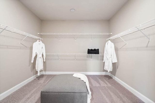 102 Sheryl Way, Loganville, GA 30052 - walk in closet with carpet floors