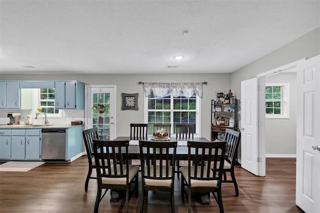 1050 Birdseye Vw, Locust Grove, GA 30248 - dining space with dark wood-style floors, a textured ceiling, and recessed lighting
