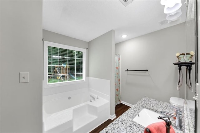 1050 Birdseye Vw, Locust Grove, GA 30248 - full bath with wood finished floors, a garden tub, vanity, and curtained shower
