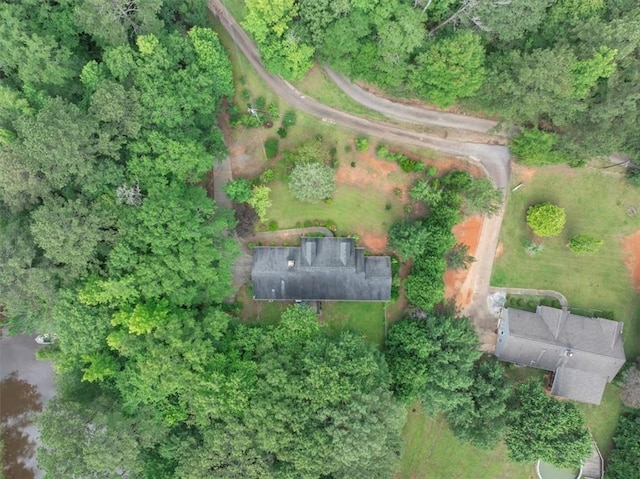 1050 Birdseye Vw, Locust Grove, GA 30248 - aerial view of property and surrounding area