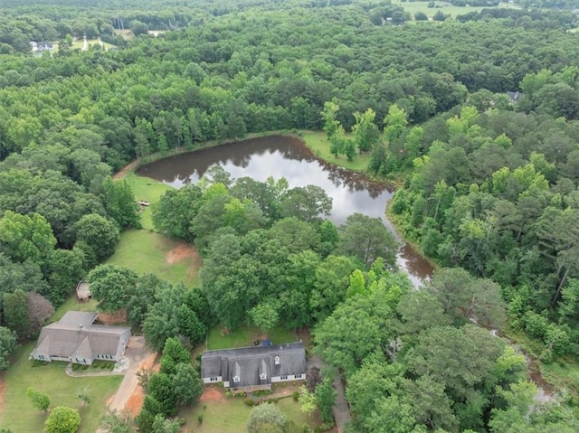 1050 Birdseye Vw, Locust Grove, GA 30248 - aerial view of property and surrounding area featuring a large body of water and a forest