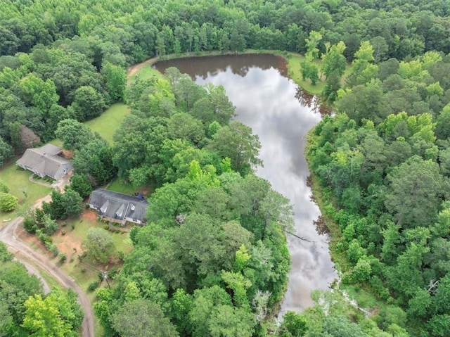 1050 Birdseye Vw, Locust Grove, GA 30248 - view of property location with a nearby body of water and a forest