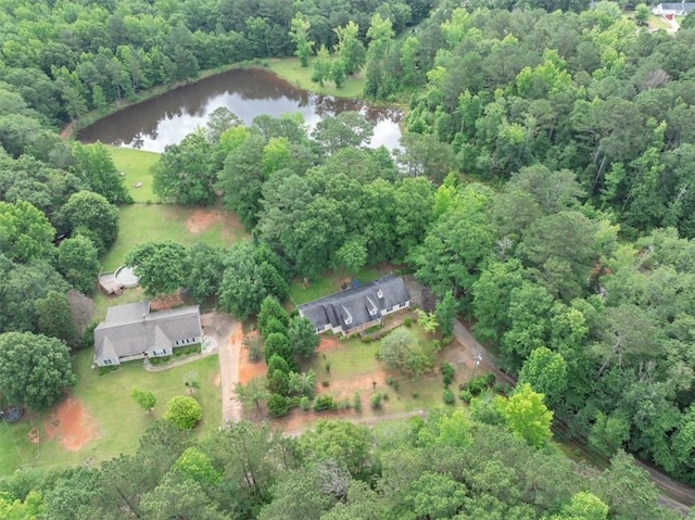 1050 Birdseye Vw, Locust Grove, GA 30248 - view of property location with a large body of water and a forest