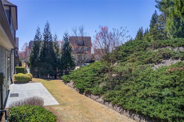 view of yard with a patio area