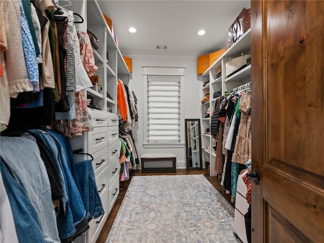 spacious closet featuring visible vents and dark wood-style flooring