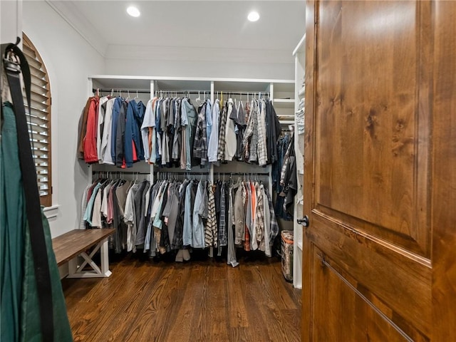 spacious closet featuring wood finished floors