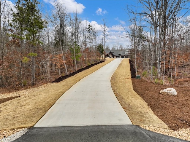 view of road with driveway