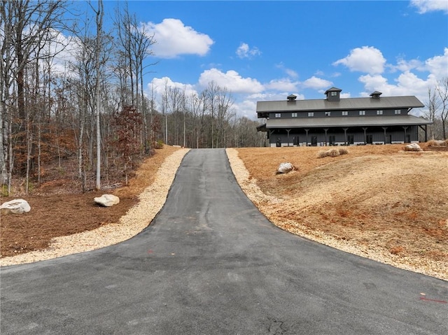 view of street with aphalt driveway