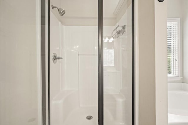 bathroom with a shower stall