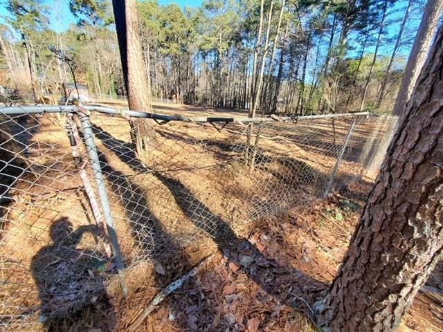 542 Banks Rd E, Fayetteville, GA 30214 - view of yard