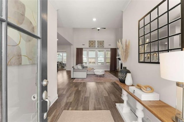 foyer entrance featuring wood finished floors and recessed lighting