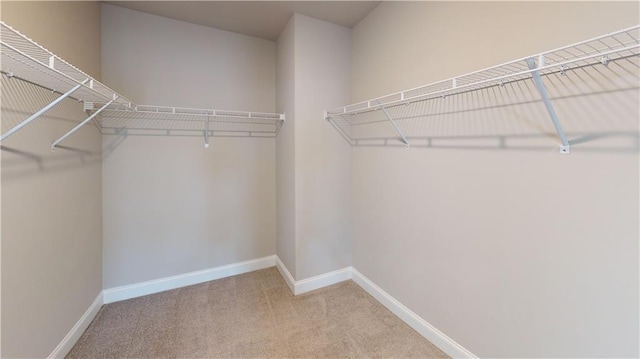 spacious closet with carpet flooring