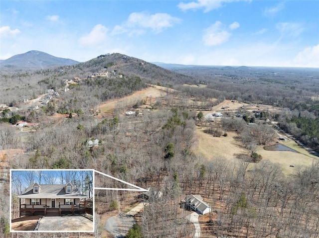 bird's eye view featuring a rural view and a mountain view