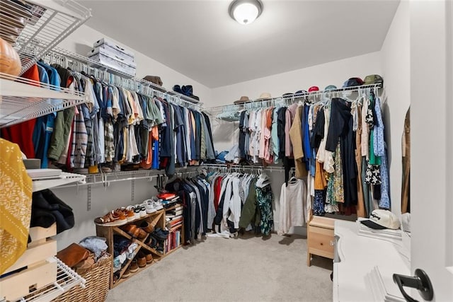 spacious closet featuring carpet