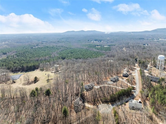 aerial view with a mountain view