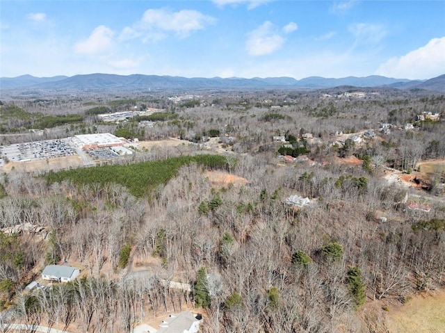 birds eye view of property featuring a mountain view