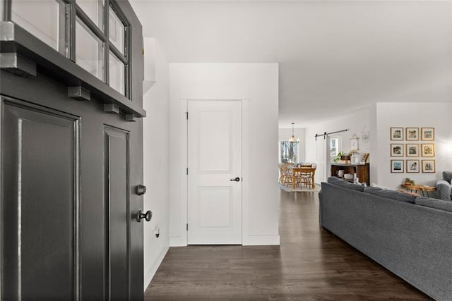 foyer with dark wood-type flooring